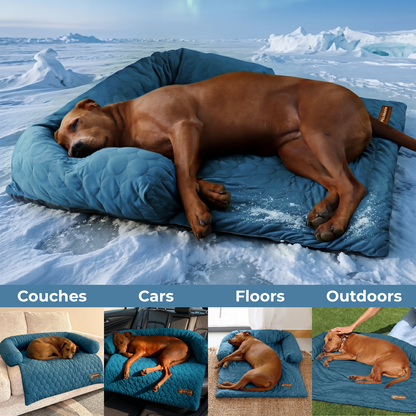 Pelsbarn Cooling Bed (4x more effective) ( 1+1 )