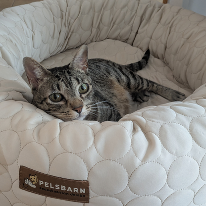 Cooling Donut Bed