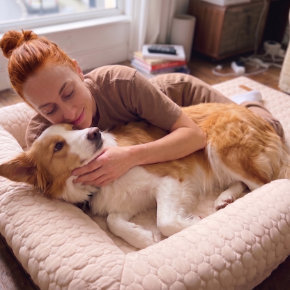 Human Size Cooling Dog Bed
