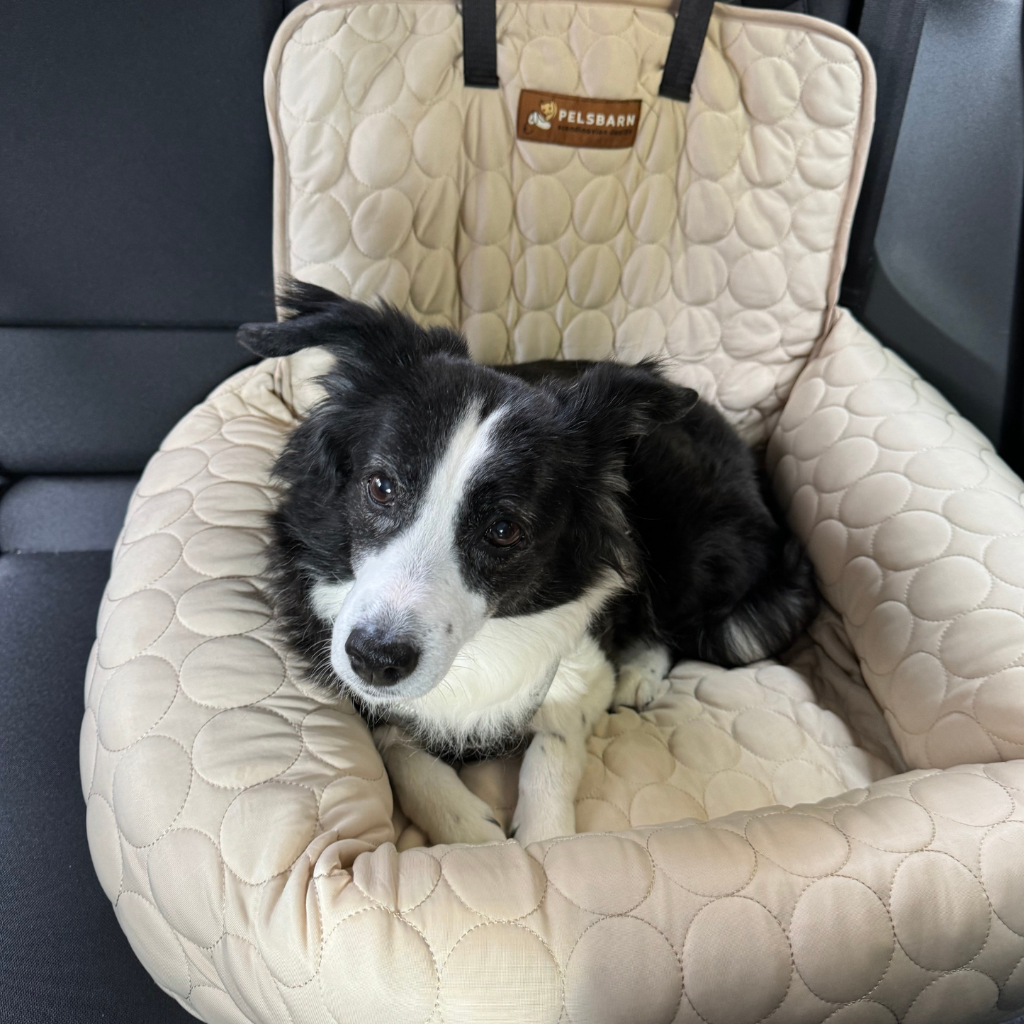 Pelsbarn Cooling Car Bed