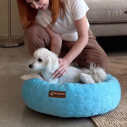 Cooling Donut Bed