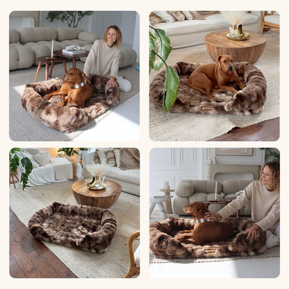 Luxurious Orthopedic Bed