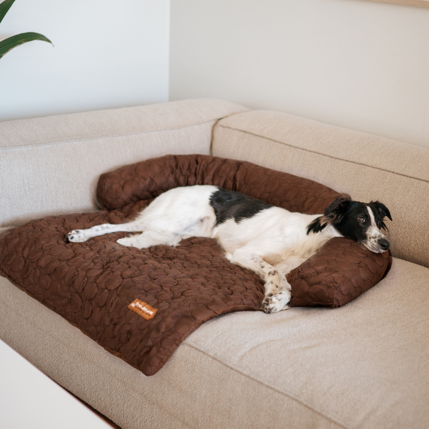 Pelsbarn Cooling Bed (4x more effective) ( 1+1 )