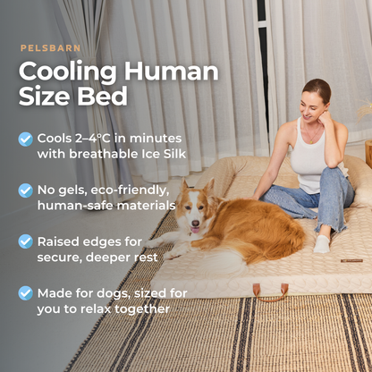 Human Size Cooling Dog Bed