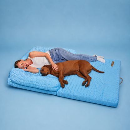 Human Size Cooling Dog Bed