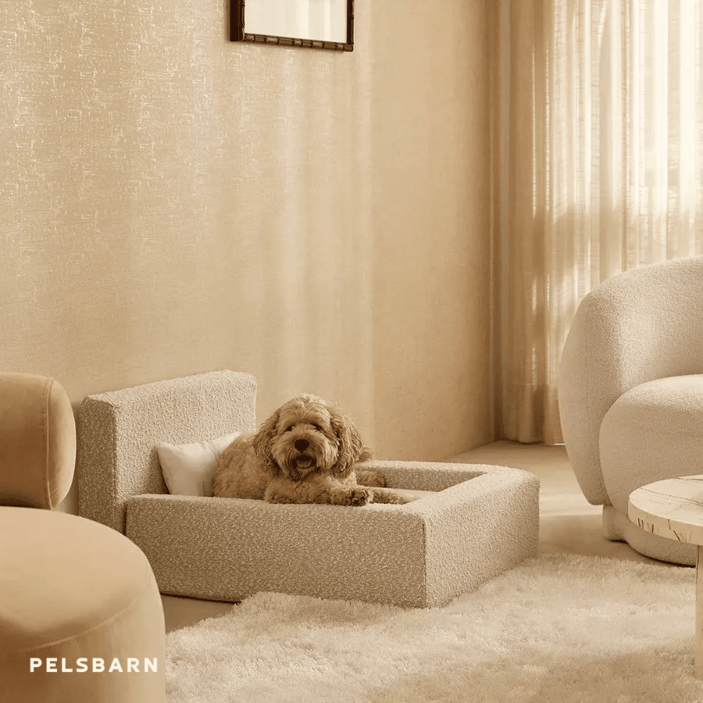 REAL orthopedic bed for dogs
