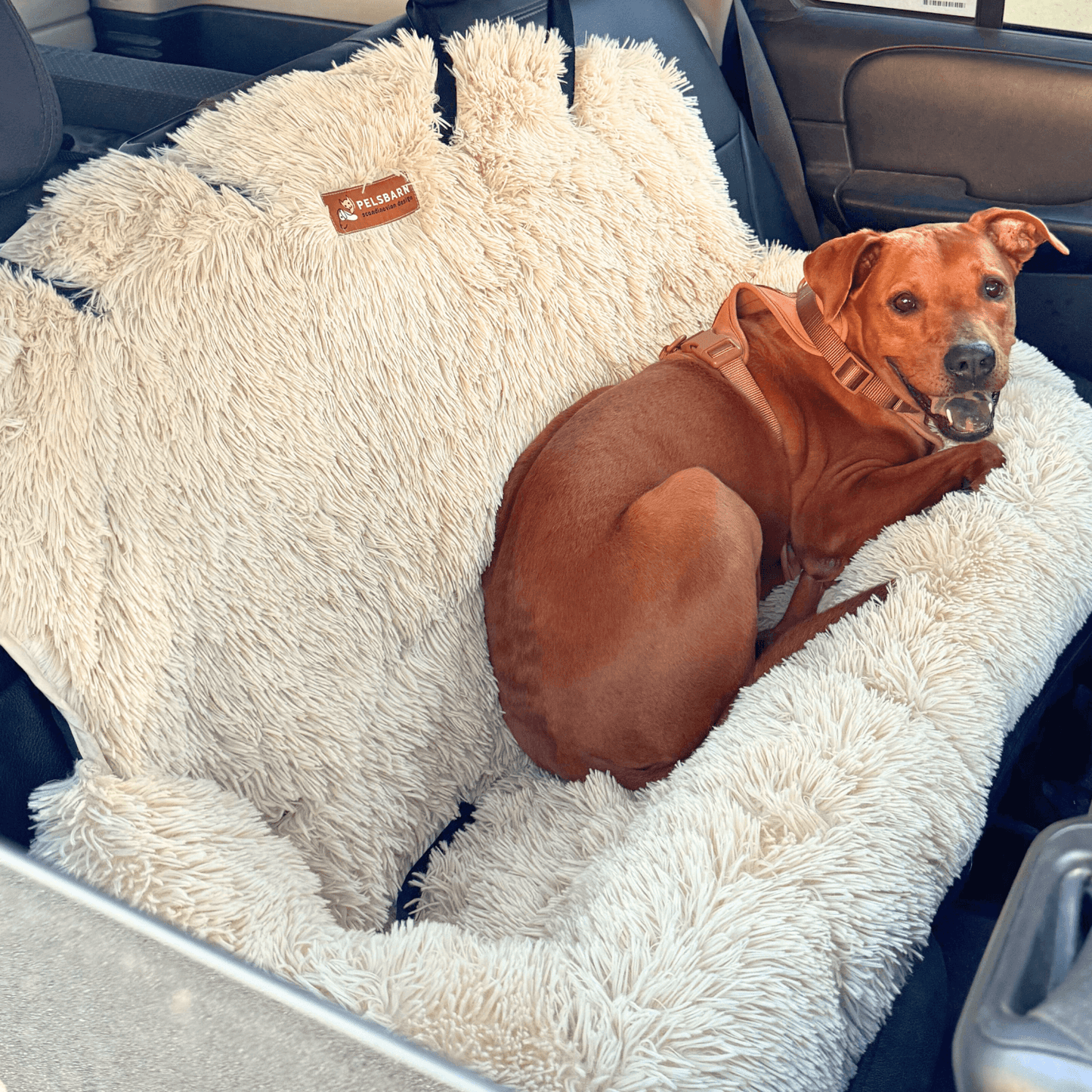 Pelsbarn Protecting Car Bed