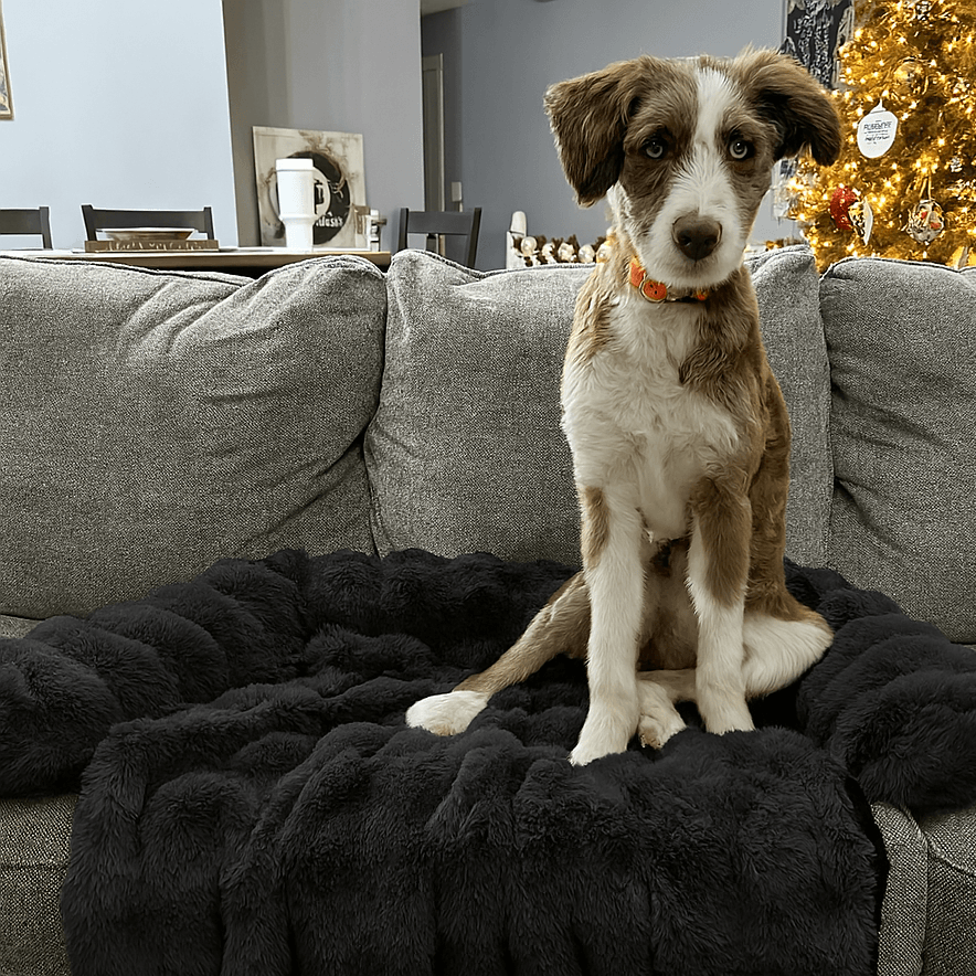 Pelsbarn Luxurious Sofa Bed
