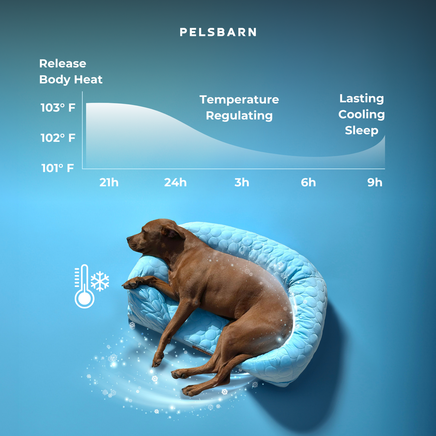 Orthopedic Cooling Dog Bed