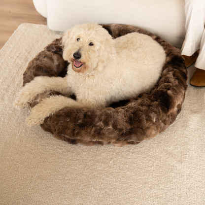Luxurious Donut Bed 1+1