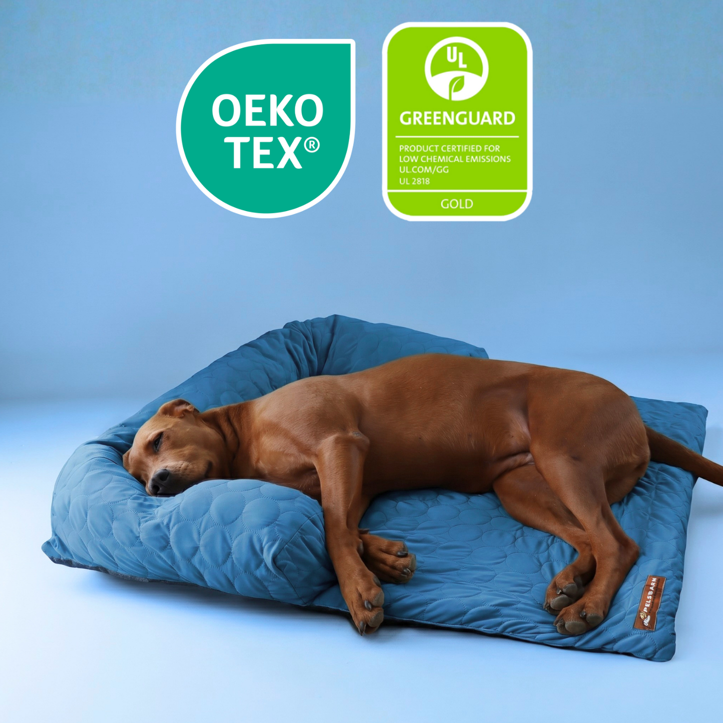 Pelsbarn Cooling Bed (4x more effective) ( 1+1 )