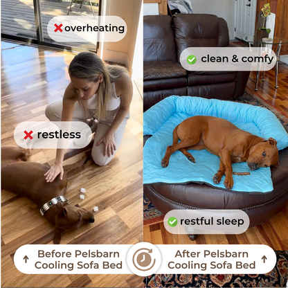 Pelsbarn Cooling Bed (4x more effective) ( 1+1 )