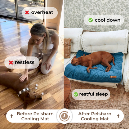 Pelsbarn Cooling Mat
