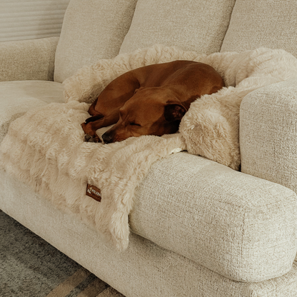 Pelsbarn Luxurious Sofa Bed