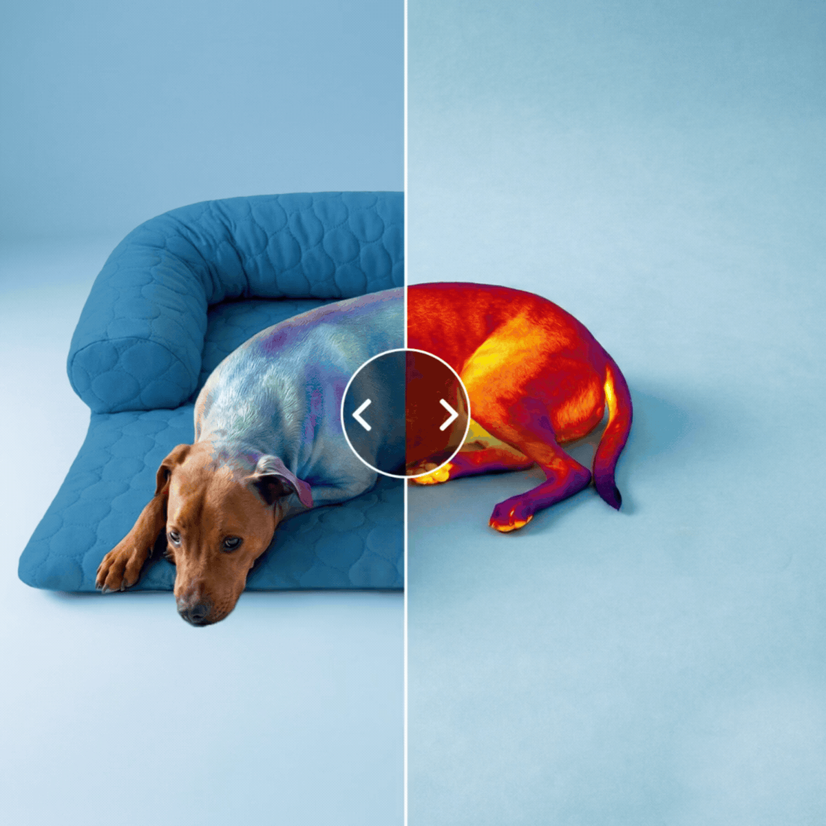Pelsbarn Cooling Bed (4x more effective) ( 1+1 )